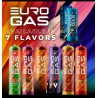 Euro Gas